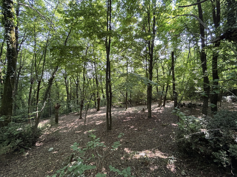Se sogni una casa spaziosa, circondata dalla natura e con un potenziale enorme, questa villa fa a...