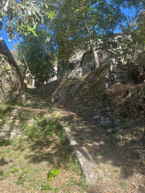 Ecco la descrizione aggiornata e integrata con la parte relativa ai servizi:

Nel cuore delle col...