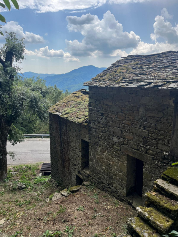 Ecco la descrizione aggiornata e integrata con la parte relativa ai servizi:

Nel cuore delle col...