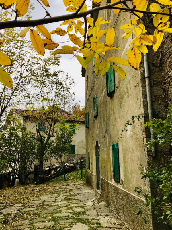 Ecco la descrizione aggiornata e integrata con la parte relativa ai servizi:

Nel cuore delle col...