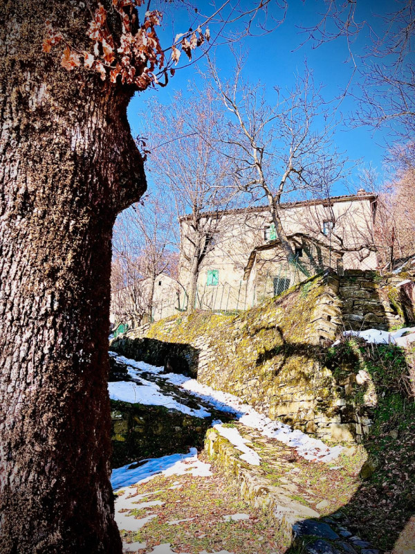 Ecco la descrizione aggiornata e integrata con la parte relativa ai servizi:

Nel cuore delle col...