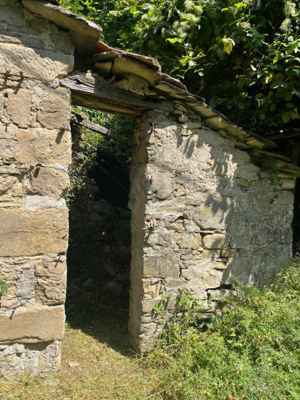 Ecco la descrizione aggiornata e integrata con la parte relativa ai servizi:

Nel cuore delle col...