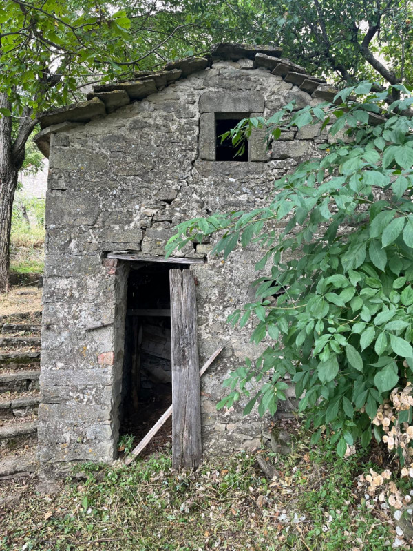 Ecco la descrizione aggiornata e integrata con la parte relativa ai servizi:

Nel cuore delle col...