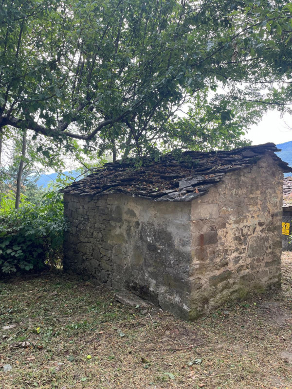 Ecco la descrizione aggiornata e integrata con la parte relativa ai servizi:

Nel cuore delle col...