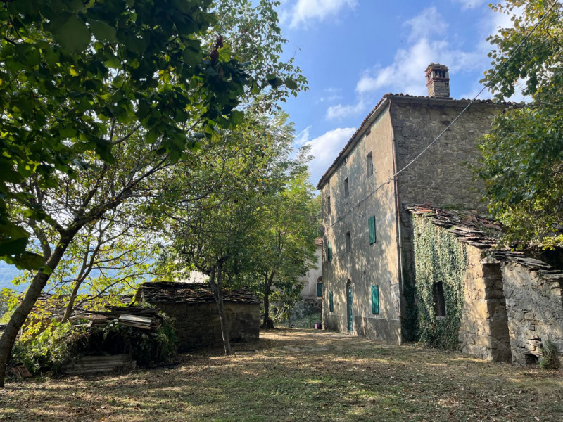 Ecco la descrizione aggiornata e integrata con la parte relativa ai servizi:

Nel cuore delle col...