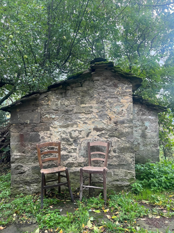 Ecco la descrizione aggiornata e integrata con la parte relativa ai servizi:

Nel cuore delle col...