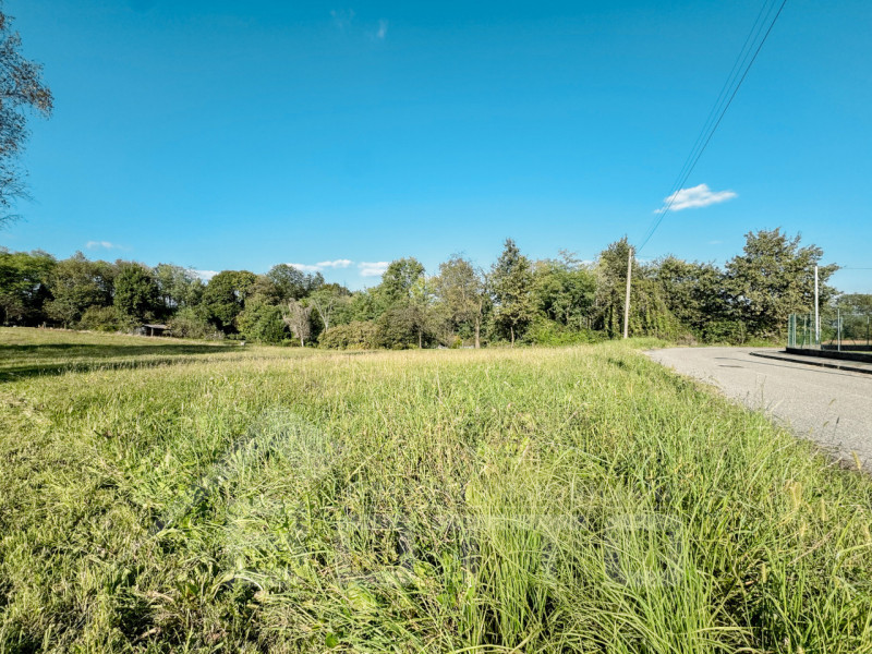 Cureggio Vendita Terreno terreno edificabile residenziale