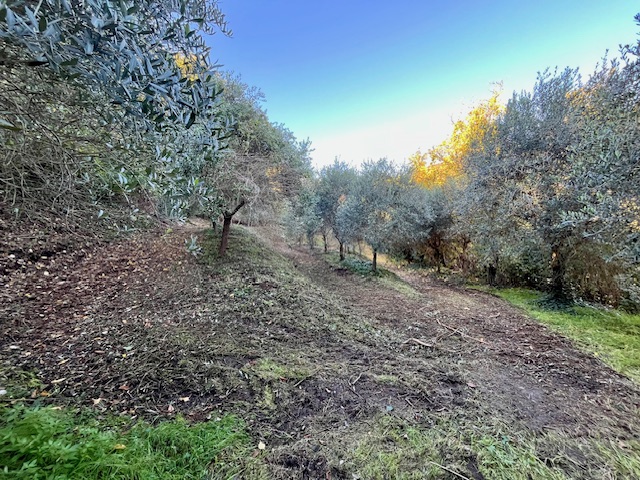 GALZIGNANO TERME - Valsanzibio: Villa contemporanea situata in posizione dominante con vista pano...