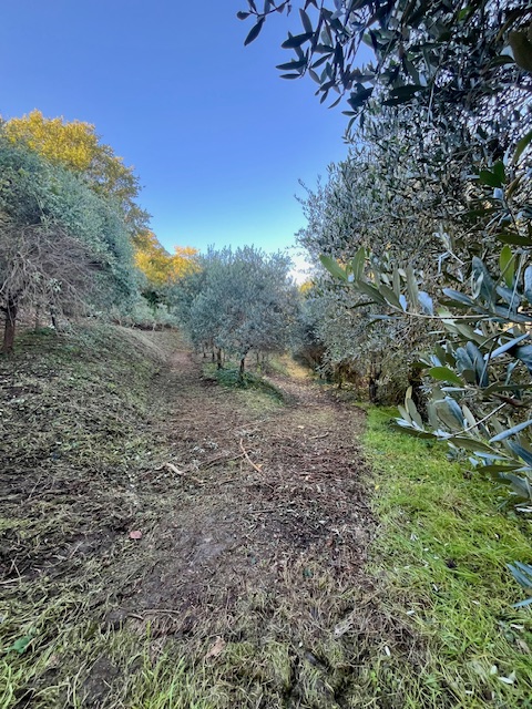 GALZIGNANO TERME - Valsanzibio: Villa contemporanea situata in posizione dominante con vista pano...