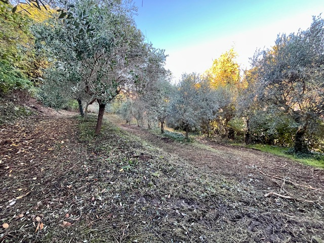GALZIGNANO TERME - Valsanzibio: Villa contemporanea situata in posizione dominante con vista pano...
