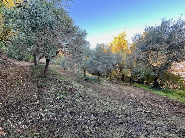 GALZIGNANO TERME - Valsanzibio: Villa contemporanea situata in posizione dominante con vista pano...