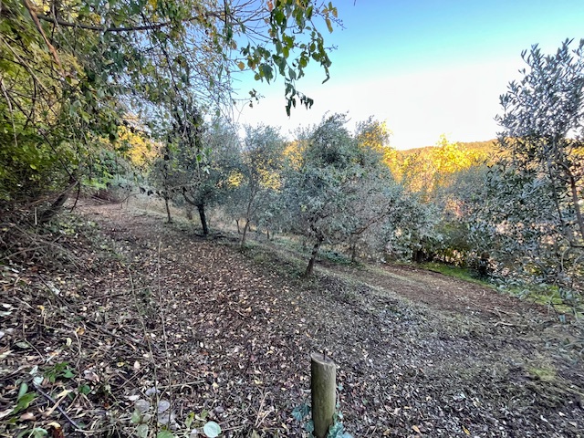 GALZIGNANO TERME - Valsanzibio: Villa contemporanea situata in posizione dominante con vista pano...