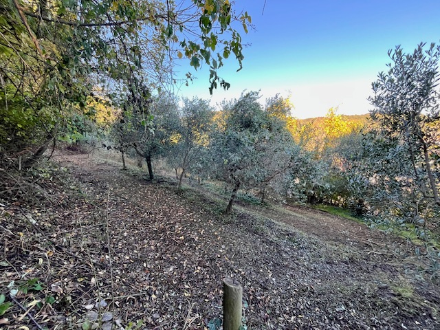 GALZIGNANO TERME - Valsanzibio: Villa contemporanea situata in posizione dominante con vista pano...