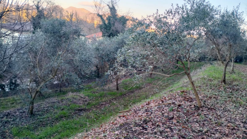 GALZIGNANO TERME - Valsanzibio: Villa contemporanea situata in posizione dominante con vista pano...