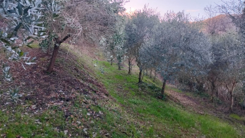 GALZIGNANO TERME - Valsanzibio: Villa contemporanea situata in posizione dominante con vista pano...