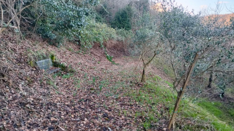 GALZIGNANO TERME - Valsanzibio: Villa contemporanea situata in posizione dominante con vista pano...