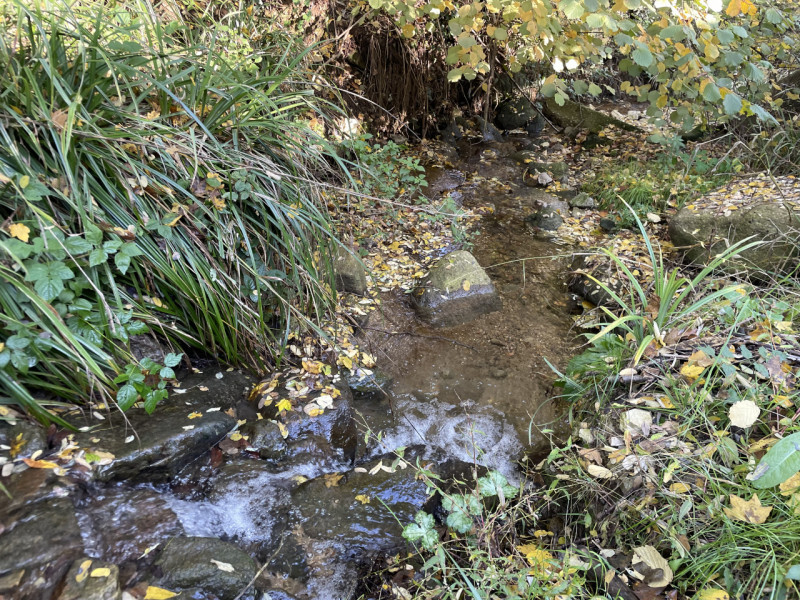 In posizione panoramica e sopraelevata, immersa nella quiete del bosco ma al tempo stesso comodis...