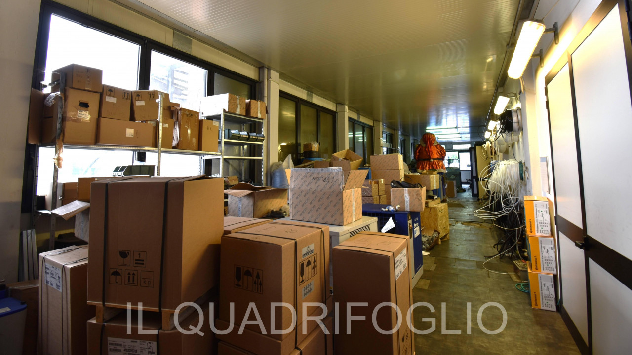 immagine annuncio 2 di 11