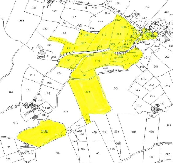 Proponiamo in vendita a Cinto Euganeo, località Valnogaredo, terreno agricolo di 5,10 ettari (51....