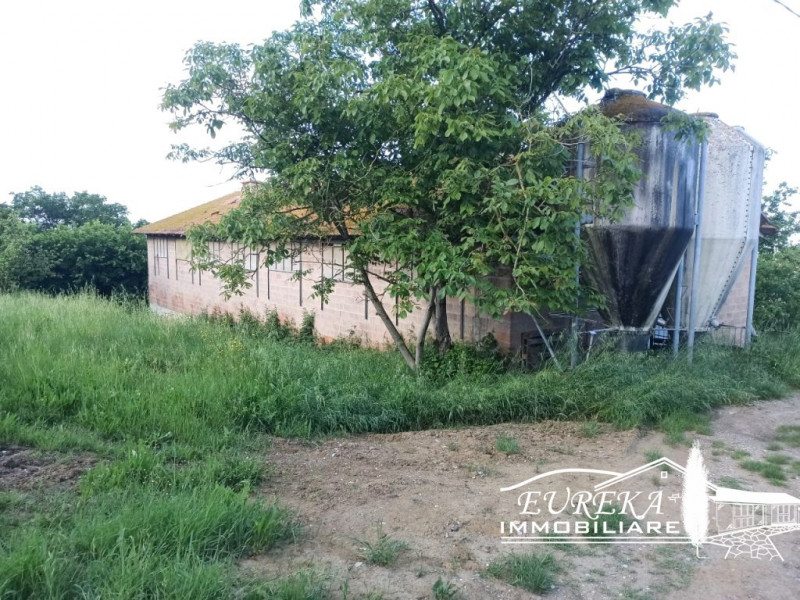 Capannoni industriali ed artigianali in vendita e affitto in Vendita a Castiglione del Lago