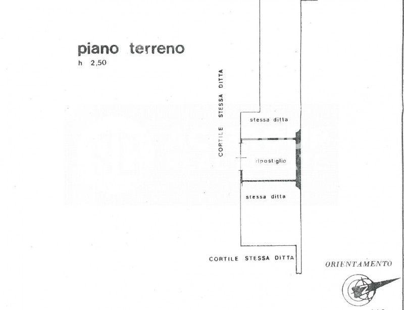 immagine annuncio 11 di 12