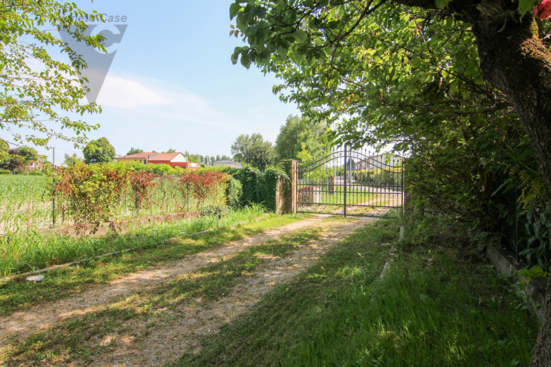 Ad Arzergrande, in zona tranquilla e immersa nel verde, proponiamo in vendita un ampio rustico su...