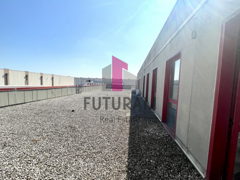 RIF:  064NM -  MIRA (VE)  -  PER INFO 0444/310220

propongo in affitto un capannone di 2000 mq in...