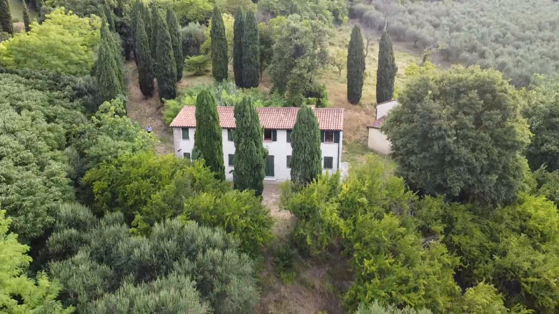 Se stai cercando una casa spaziosa, immersa nella natura e con tanto potenziale di personalizzazi...