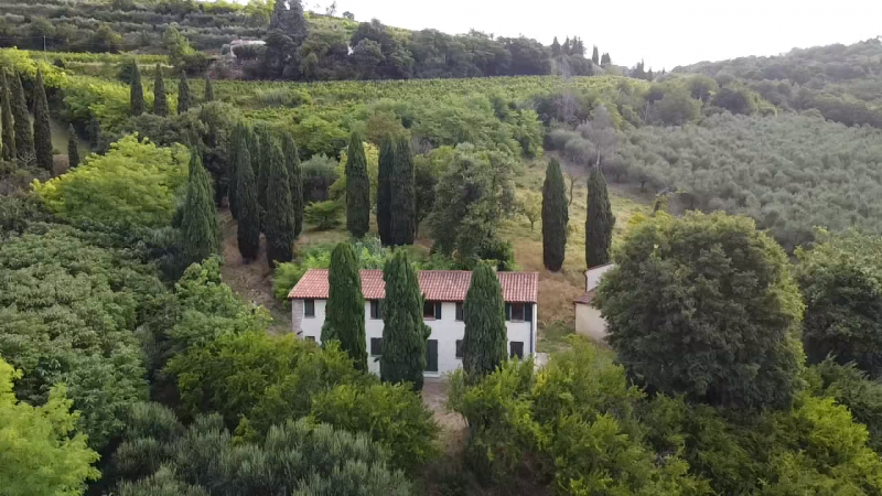 Se stai cercando una casa spaziosa, immersa nella natura e con tanto potenziale di personalizzazi...