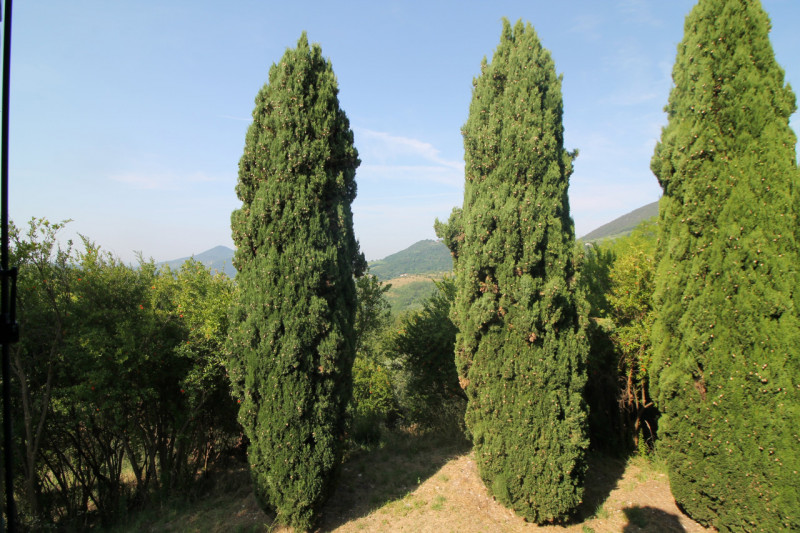 Se stai cercando una casa spaziosa, immersa nella natura e con tanto potenziale di personalizzazi...