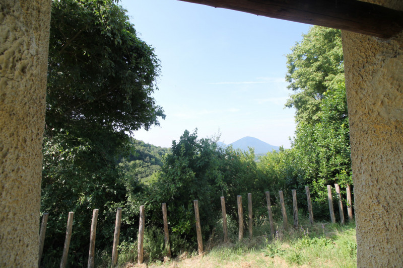 Se stai cercando una casa spaziosa, immersa nella natura e con tanto potenziale di personalizzazi...