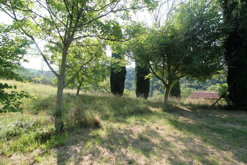 Se stai cercando una casa spaziosa, immersa nella natura e con tanto potenziale di personalizzazi...