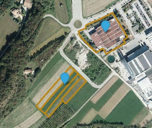 RIF. A.A.22-221
                                                                                 ...