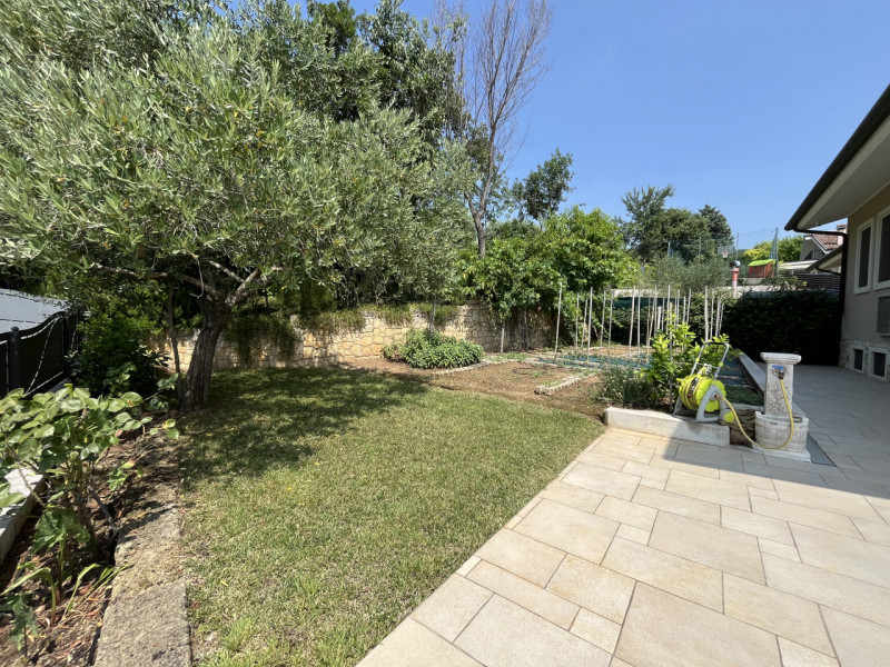 ORGIANO: Scopri questa straordinaria opportunità immobiliare situata sul colle di Orgiano. Questa...