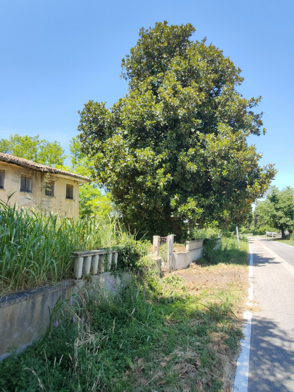 Gruaro paese che dista 7 km da Portogruaro, 5 km dall'uscita A4 e dalla stazione ferroviaria,  su...