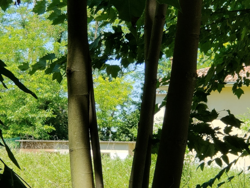 Gruaro paese che dista 7 km da Portogruaro, 5 km dall'uscita A4 e dalla stazione ferroviaria,  su...