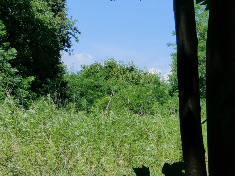Gruaro paese che dista 7 km da Portogruaro, 5 km dall'uscita A4 e dalla stazione ferroviaria,  su...