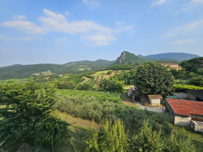 Sei alla ricerca di un'opportunità unica nel cuore dei Colli Euganei? Questa proprietà, situata i...