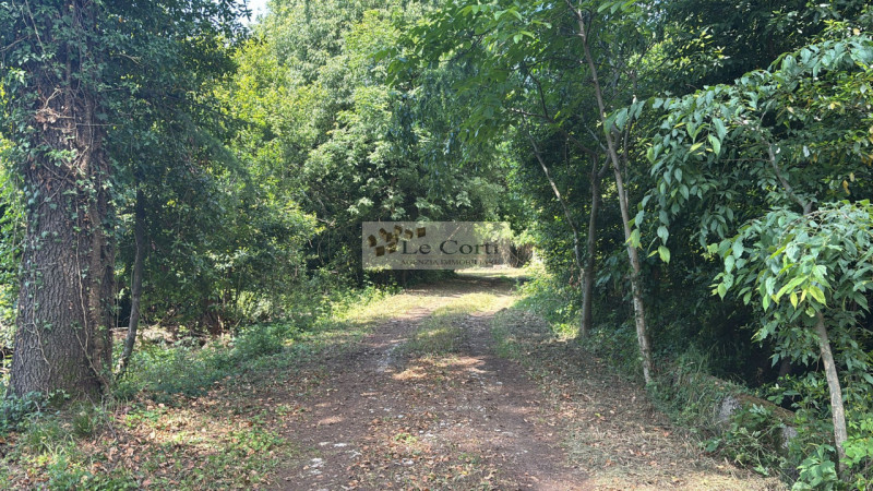 Proponiamo in vendita una proprietà da ristrutturare, situata in una zona tranquilla e immersa ne...