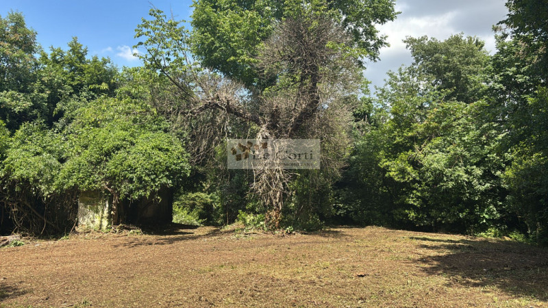 Proponiamo in vendita una proprietà da ristrutturare, situata in una zona tranquilla e immersa ne...