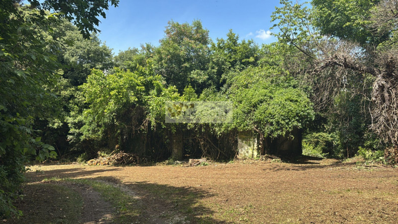 Proponiamo in vendita una proprietà da ristrutturare, situata in una zona tranquilla e immersa ne...