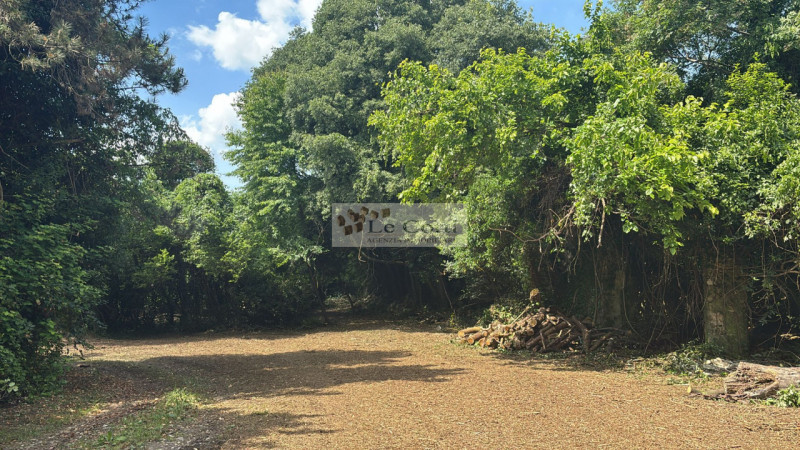 Proponiamo in vendita una proprietà da ristrutturare, situata in una zona tranquilla e immersa ne...