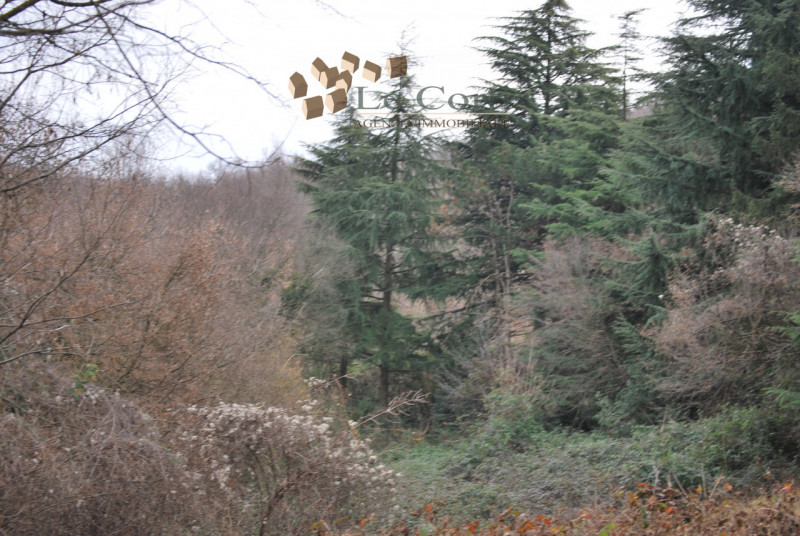 Proponiamo in vendita una proprietà da ristrutturare, situata in una zona tranquilla e immersa ne...