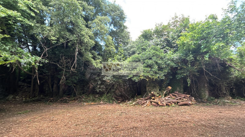 Proponiamo in vendita una proprietà da ristrutturare, situata in una zona tranquilla e immersa ne...