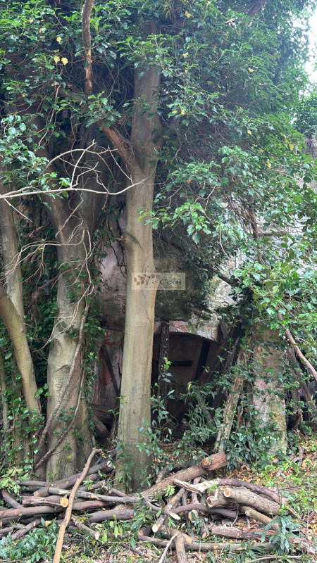 Proponiamo in vendita una proprietà da ristrutturare, situata in una zona tranquilla e immersa ne...