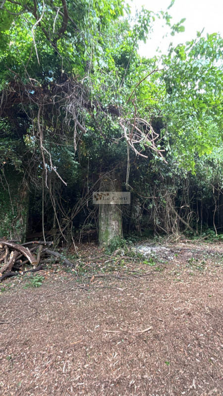 Proponiamo in vendita una proprietà da ristrutturare, situata in una zona tranquilla e immersa ne...