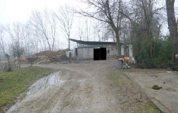 Roncade Vendita Terreno terreno agricolo/coltura