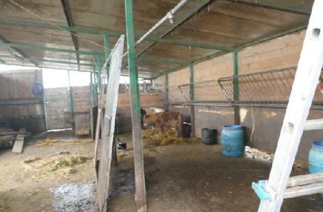 Rif. A.A.2477-20

Vendita all'asta - terreno agricolo in data 29 gennaio 2026

Descrizione: tratt...