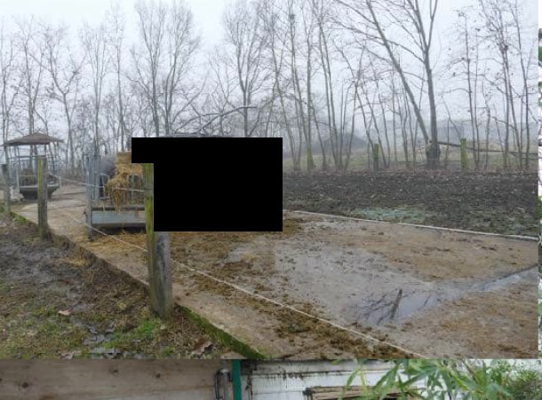 Rif. A.A.2477-20

Vendita all'asta - terreno agricolo in data 29 gennaio 2026

Descrizione: tratt...