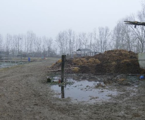 Rif. A.A.2477-20

Vendita all'asta - terreno agricolo in data 29 gennaio 2026

Descrizione: tratt...